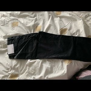 BNWT women’s loft suedes pants